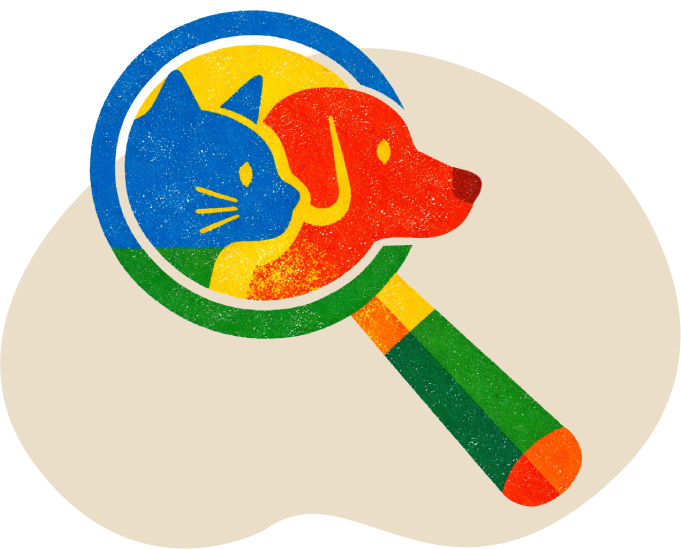 Lost animals illustration